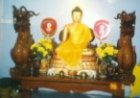 Sangha Care PIX